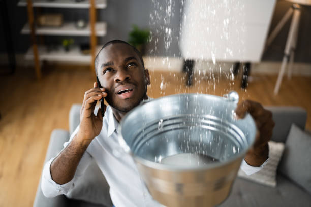  Tonawanda, NY Water damage restoration Pros