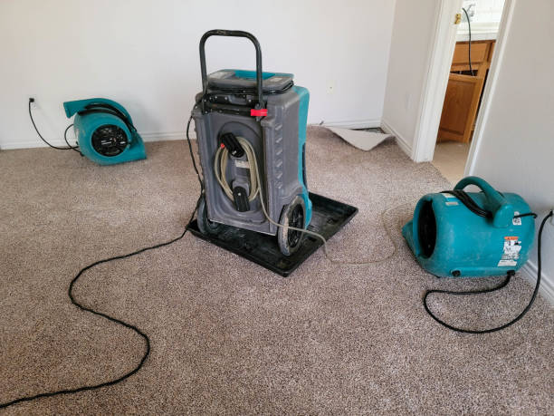 Best Basement water damage restoration  in Tonawanda, NY