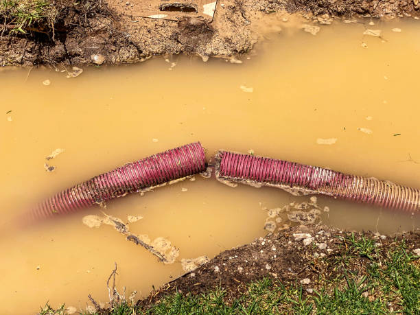 Best Local water damage restoration  in Tonawanda, NY