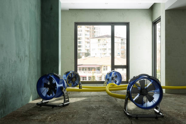 Best Water damage cleanup near me  in Tonawanda, NY